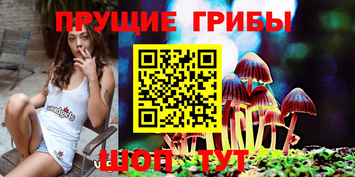Галлюциногенные грибы MAGIC MUSHROOMS  Вход с VPN  Казань  Псилоцибиновые грибы Magic Shrooms 